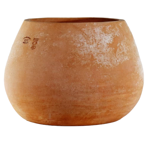VASO ANDROMEDA