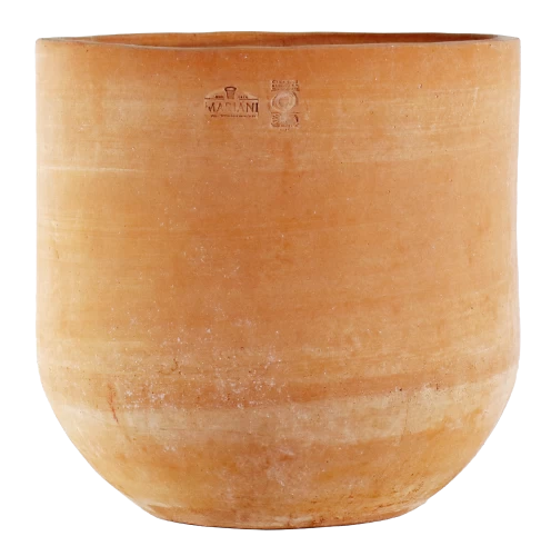 VASO COHIBA LISCIO BASSO