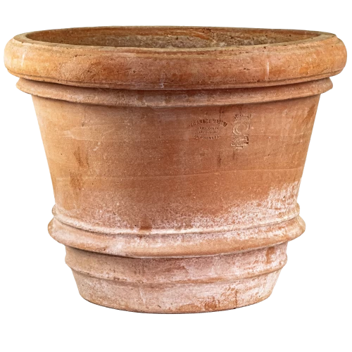 VASO LISCIO 2 BORDI