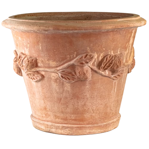 VASO A LIMONI